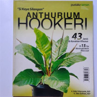 Image of Si Kaya Silangan Anthurium Hookeri