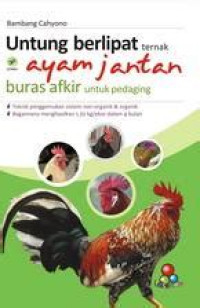 Image of Untung Berlipat Ternak Ayam Jantan